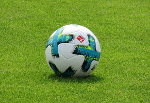 九游下载电脑版官网-德甲防守战术转变对定位球防守效果的影响分析，德国足球防守大师